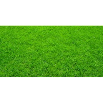 Nawóz Ogród Antymech 5kg Siarczan Zelaza trawnik